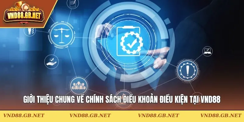 Giới thiệu chung về chính sách điều khoản điều kiện tại VND88